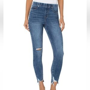 NWT Liverpool Chloe High Waisted Distressed Stretch Skinny Jeans in Sz. 4 / 27